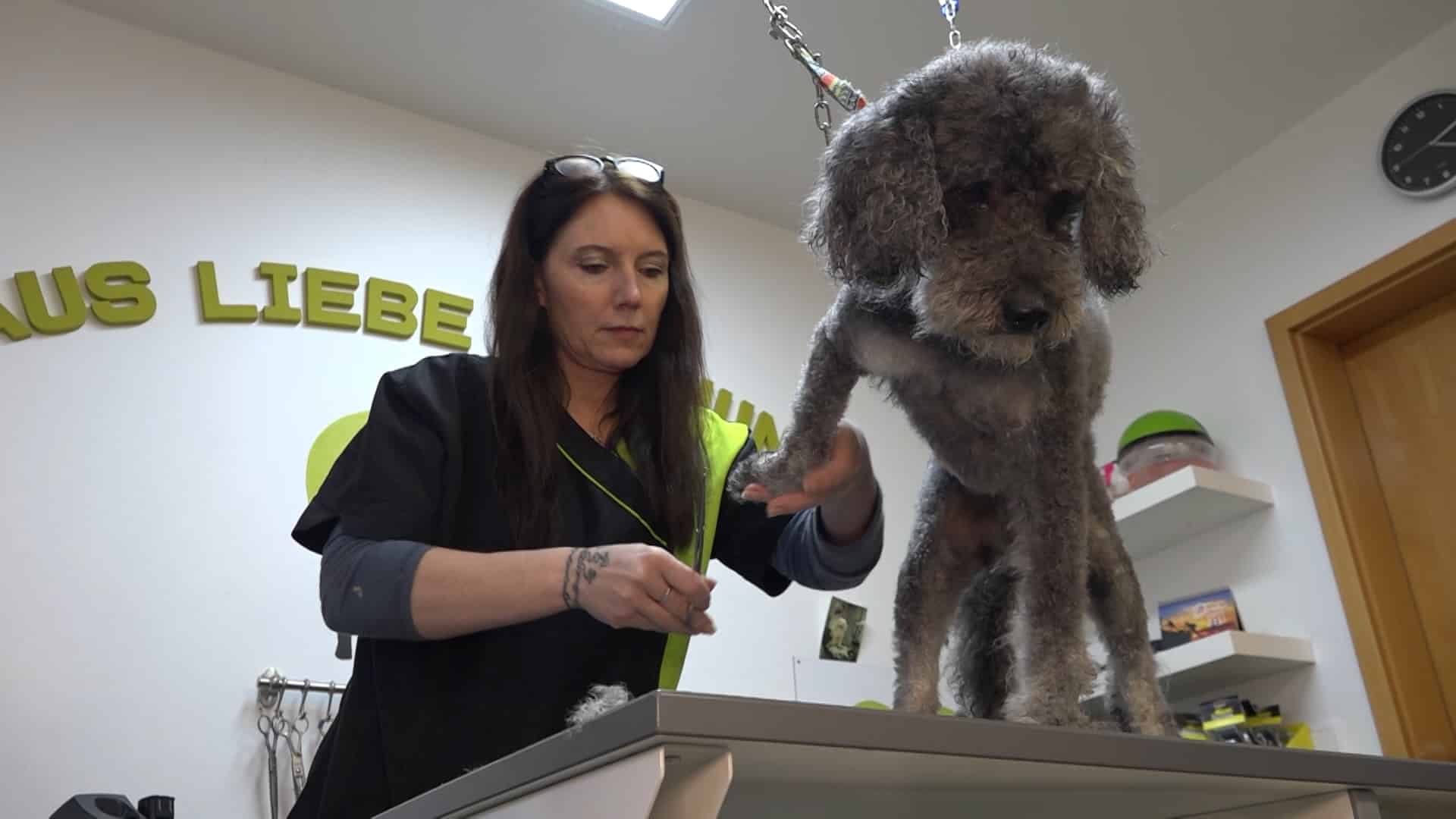 Wenn der Hund zum Frisör darf, das Herrchen aber nicht: