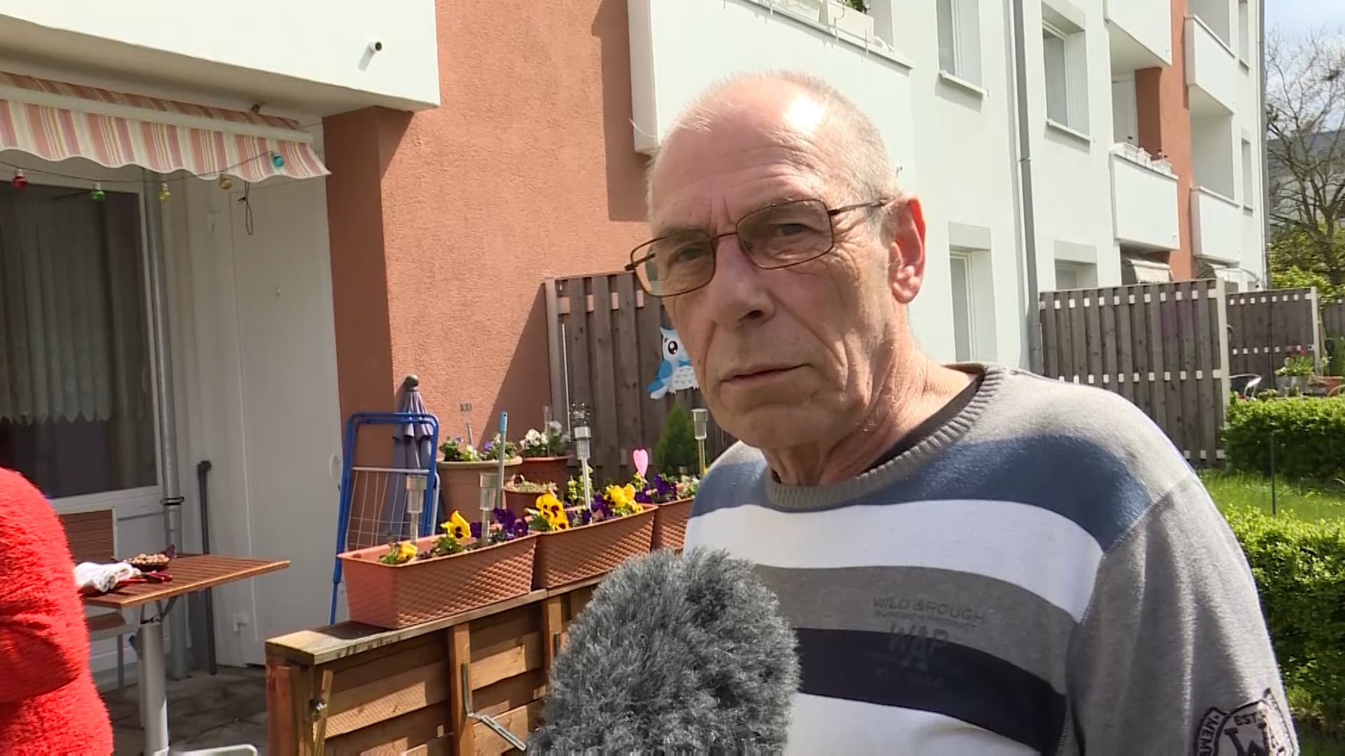 Geflohene Kuh sorgt für Aufruhr